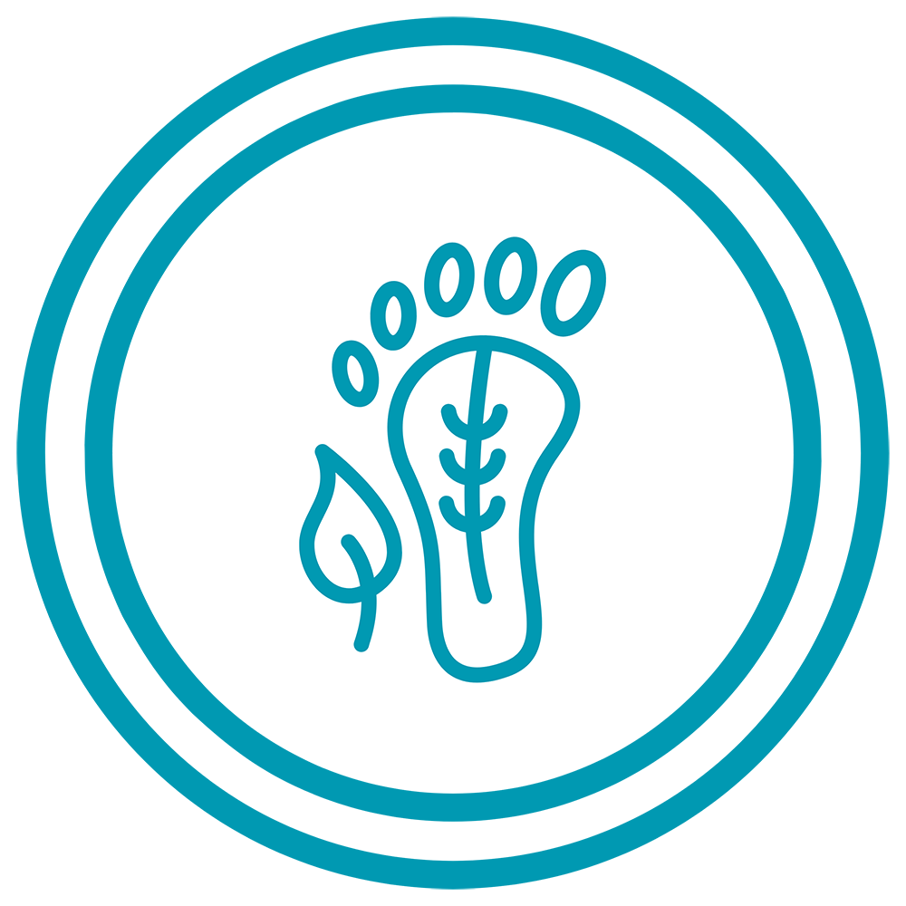 Carbon Footprint icon