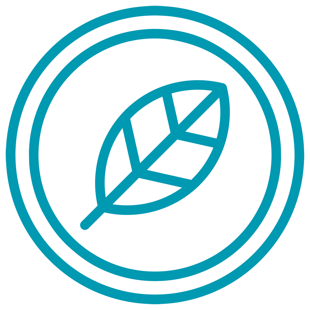Meatless Mondays icon